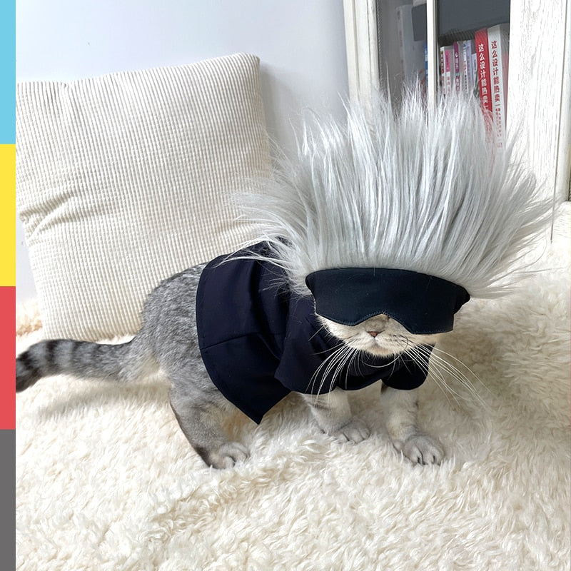 gojo pet outfit