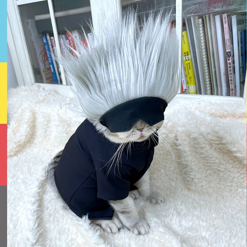 gojo pet outfit
