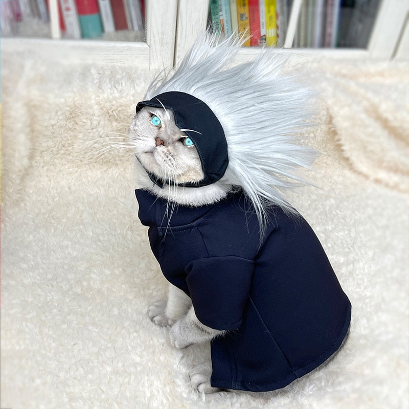 gojo pet outfit