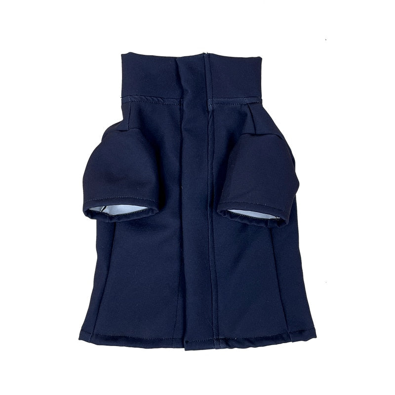 gojo pet outfit