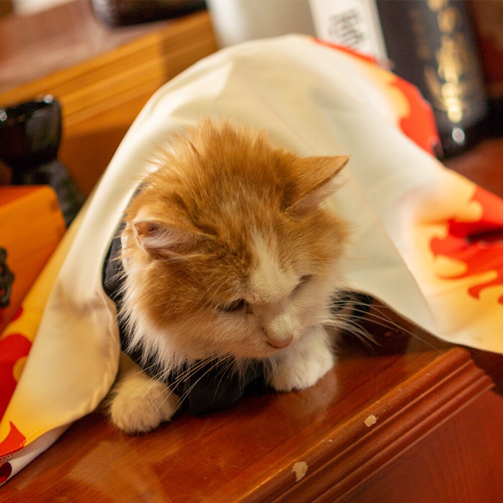 demon slayer pet cloak