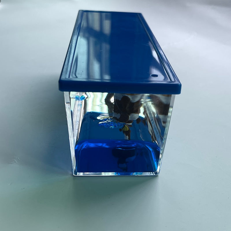 thousand sunny bottled ship